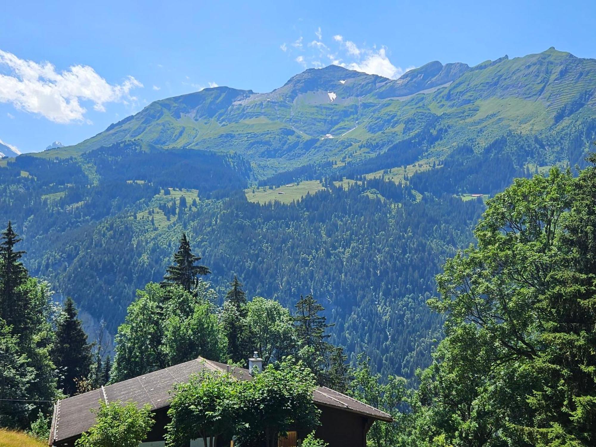 Apartment Panoramapark Soleil Haus D Apt 3 By Interhome Wengen Exterior foto